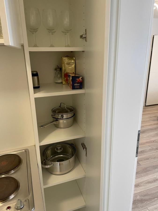 Sophie Superior Apartment カールスルーエ エクステリア 写真